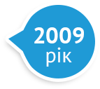 2009 год 2009 год